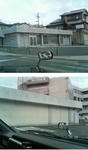 20080322a.jpg
