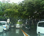 20080426a.jpg