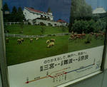 20081116.jpg