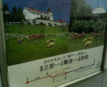 20081117.jpg