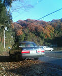 20081208.jpg