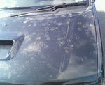 20090209.jpg