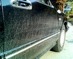 20090226.jpg