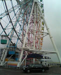 20090306.jpg