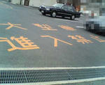 20090309a.jpg