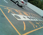 20090309b.jpg