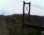 20090310a.jpg