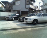 20090319.jpg