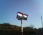 20090331.jpg