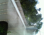 20090803.jpg