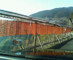 20091128.jpg
