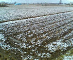 20100202.jpg