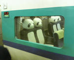 20100310b.jpg