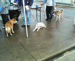 20100420.jpg