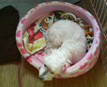 20100608.jpg