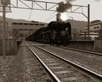20100625.jpg