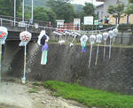 20100707.jpg