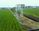 20100710.jpg