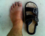 20100806.jpg