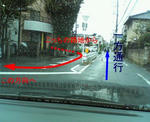 20100811b.jpg