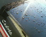 20101101.JPG