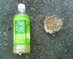 20110207.JPG