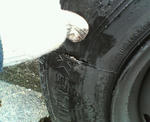 20110321a.JPG