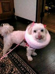 20110711.JPG