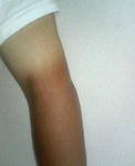 20110807.JPG