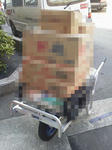 20110817.jpg