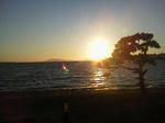 20110912d.JPG