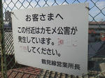 20110917f.JPG