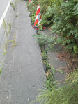 20110922c.JPG