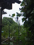 20110922e.JPG