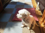 20111102b.JPG