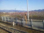 20111215e.jpg