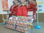 20120102a.JPG