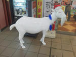 20120102c.JPG