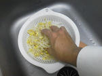 20120126c.JPG