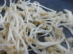 20120127b.JPG
