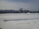 20120208c.JPG