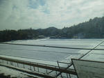20120310d.JPG