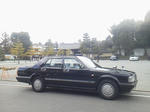 20120317b.JPG