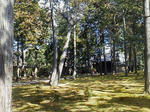 20120317d.JPG