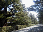 20120317e.JPG