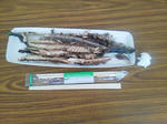 20120325d.JPG