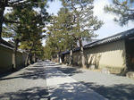 20120326a.JPG