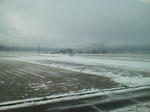 20120330d.JPG