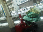 20120331c.JPG