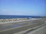 20120402d.JPG